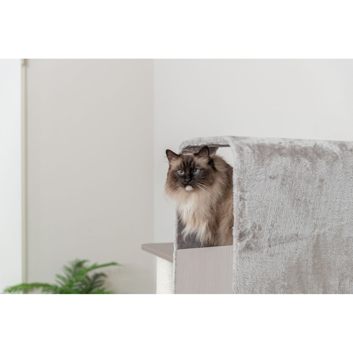 TRIXIE Kratzbaum Marina – Robuster Kratzbaum in Holz-Optik, ideal für mittlere Katzen 🏠