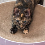 Kratzbett Lilly für Katzen – ø 45 × 10 cm, flieder
