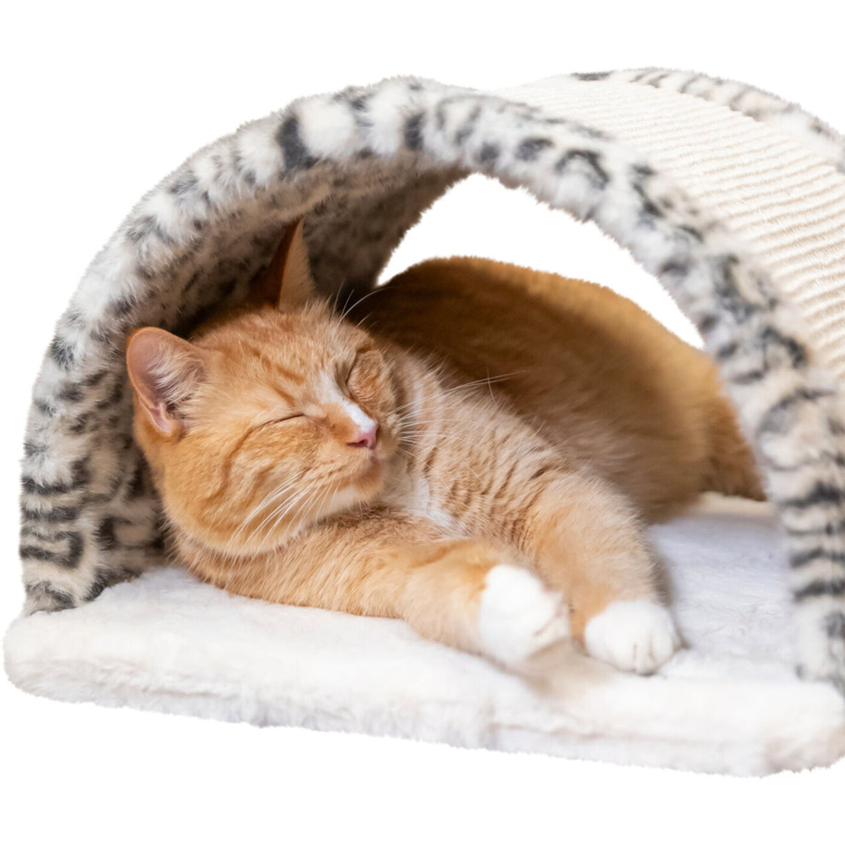 Kratzbrücke Leo – 25 cm, creme