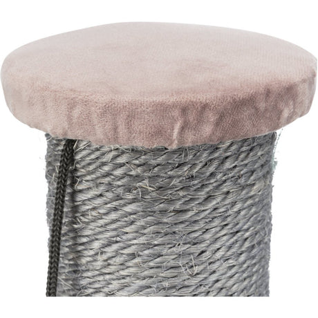 Kratzstamm Livia