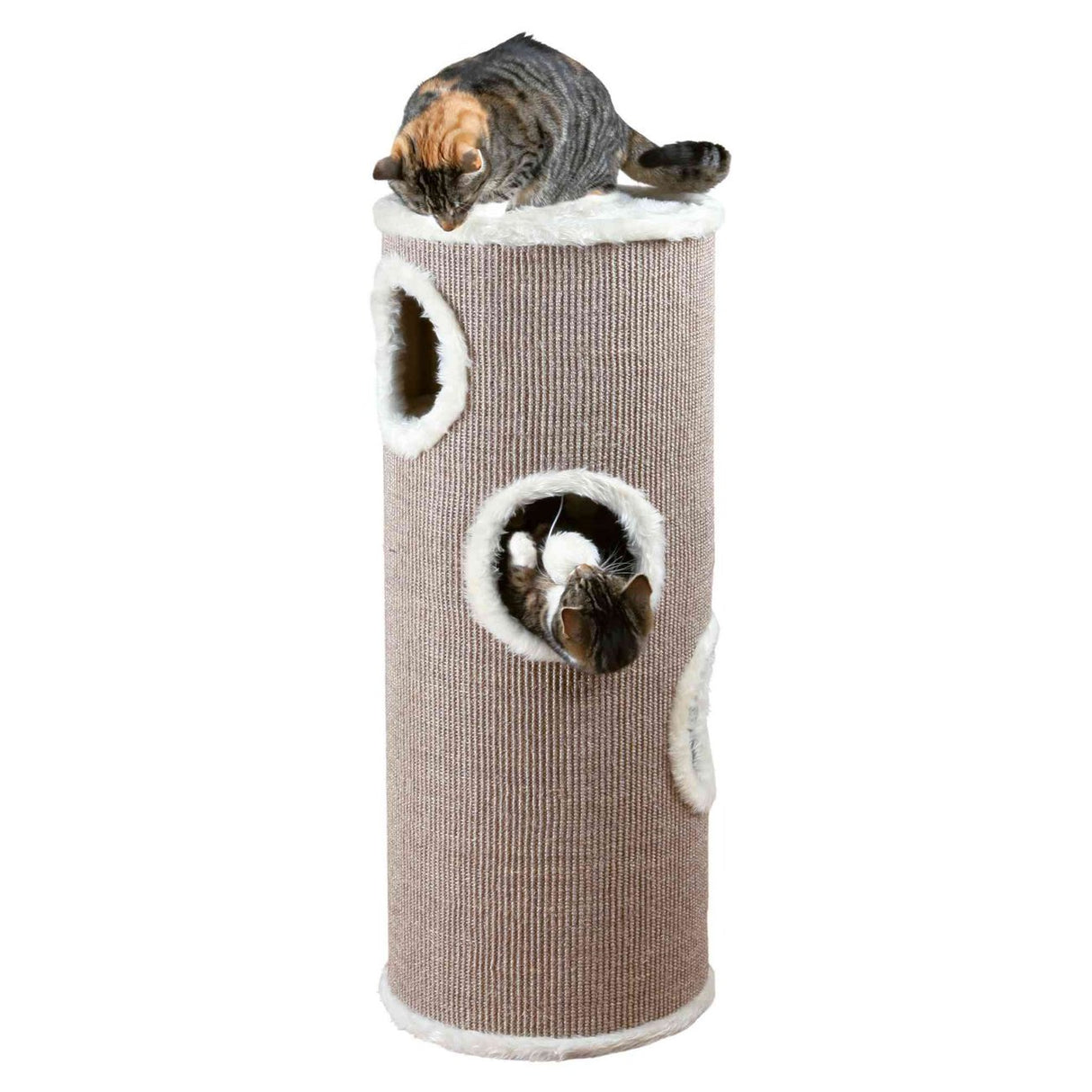 Katzenturm Edoardo mit Sisal
