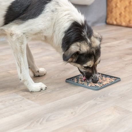 Lick'n'Snack Matte grau