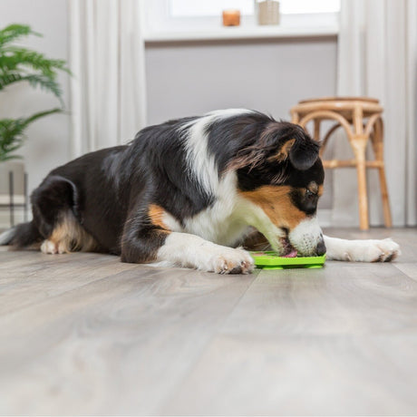 Lick'n'Snack Matte mit Saugnäpfen