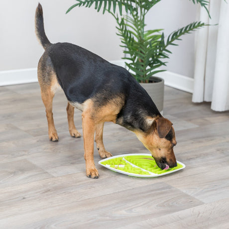 Lick'n'Snack Platte Anti Schling
