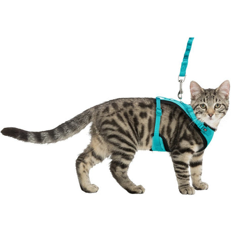 Mesh Y Katzen Geschirr