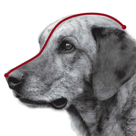 Trixie Muzzle Flex Maulkorb