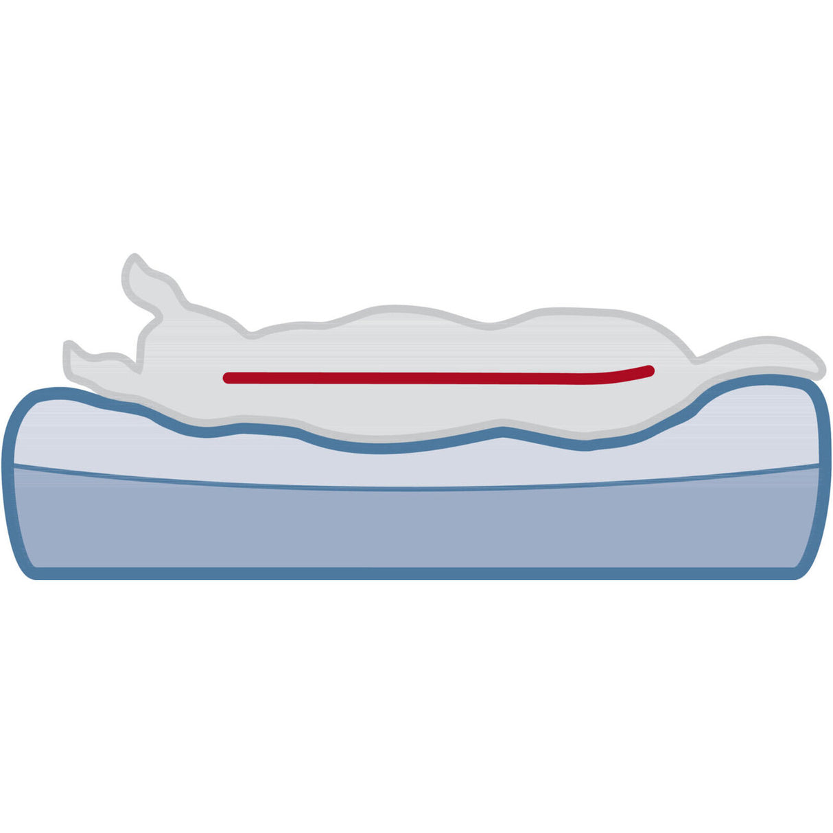 Orthopädisches Vital Hundebett Lino, eckig