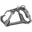 Premium Active Hundegeschirr