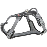 Premium Active Hundegeschirr