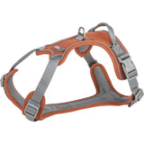 Premium Active Hundegeschirr