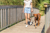 Premium Active Hundegeschirr