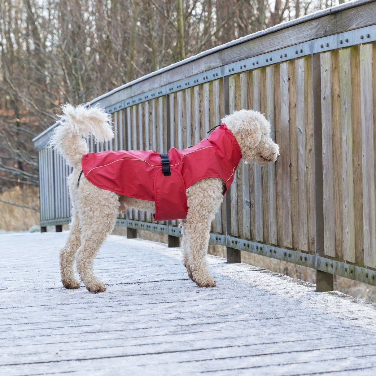 Hunde Regenmantel Vimy mit Bauchschutz
