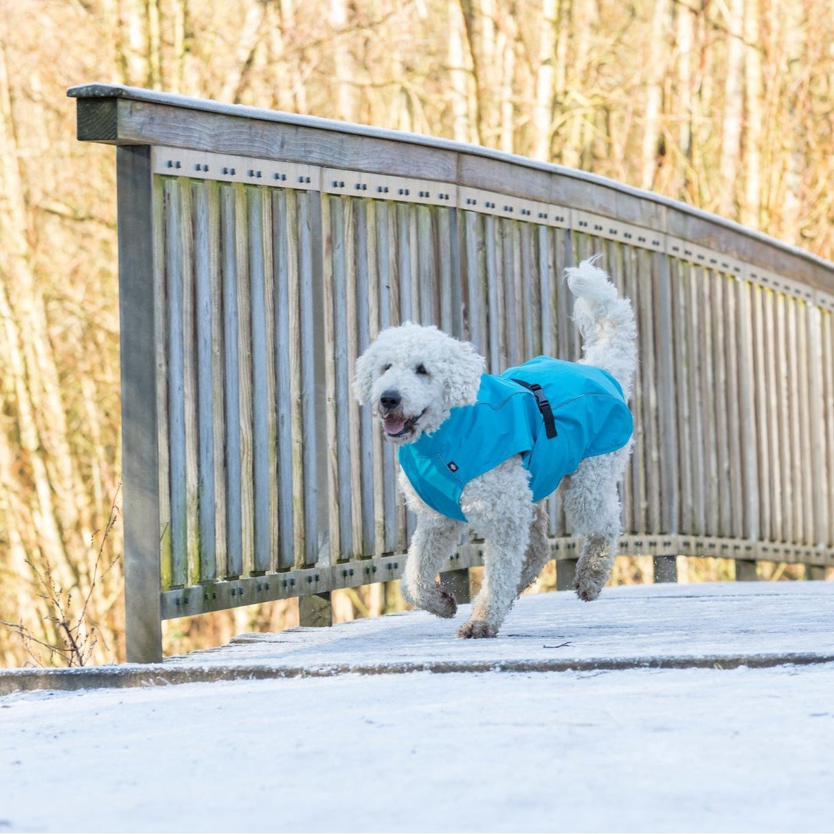 Hunde Regenmantel Vimy mit Bauchschutz