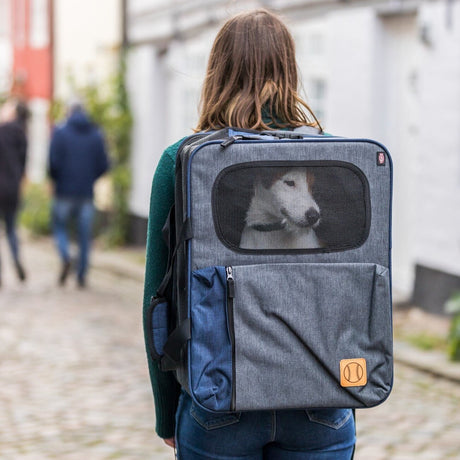 Rucksack und Hundetasche Tara