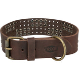 Rustic Fettleder Hundehalsband mit Nieten