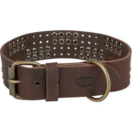 Rustic Fettleder Hundehalsband mit Nieten