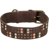 Rustic Fettleder Hundehalsband mit Nieten