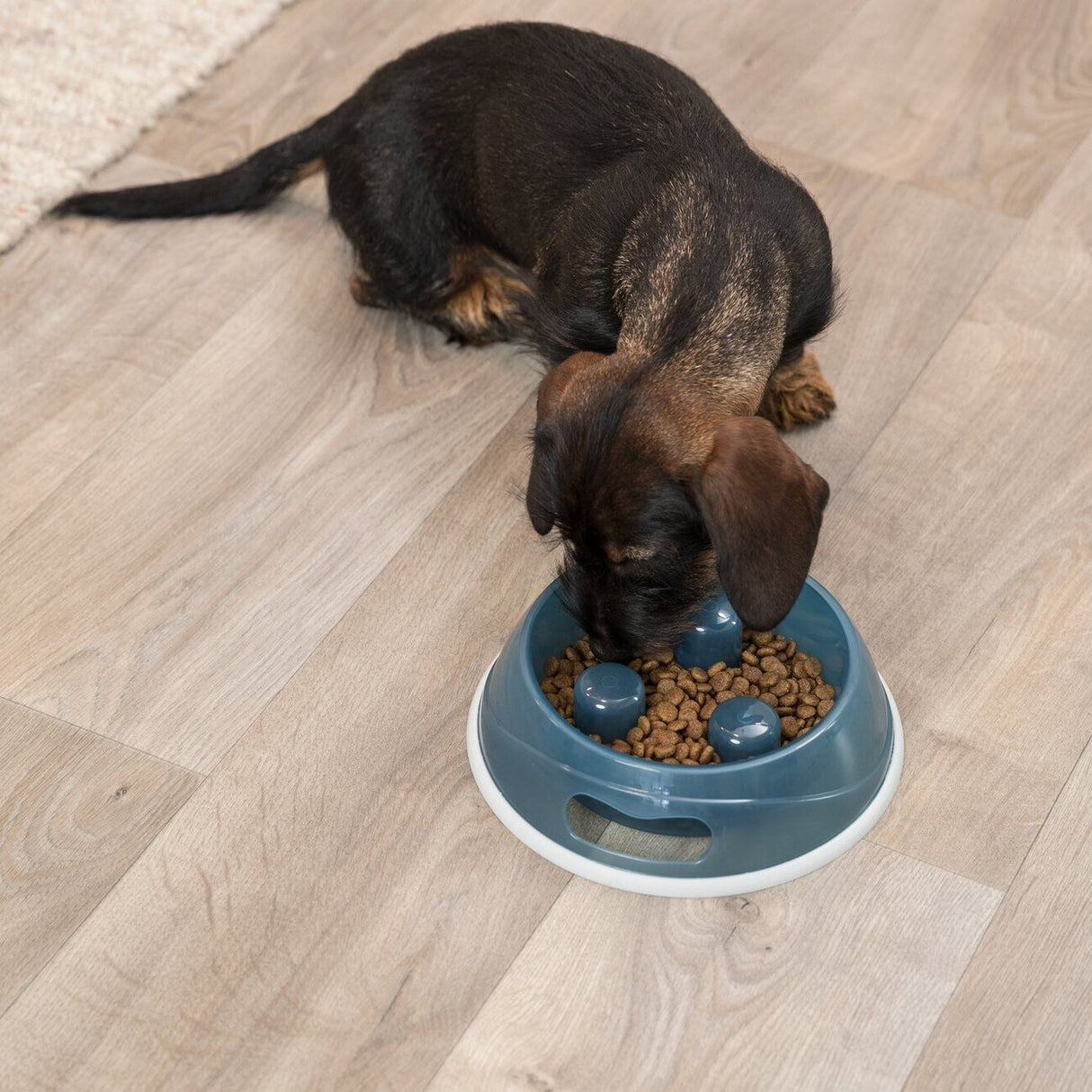 Schlinger Napf Slow Feed für Hunde