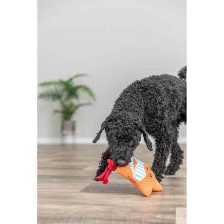 TRIXIE Seestern mit Seil Zerrspielzeug für Hunde & Katzen | tiierisch.de – 22 cm