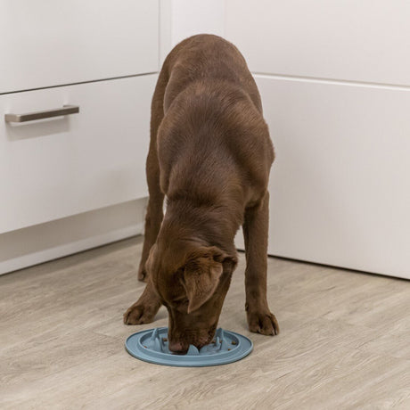 Slow Feed Futtermatte für Hunde und Katzen