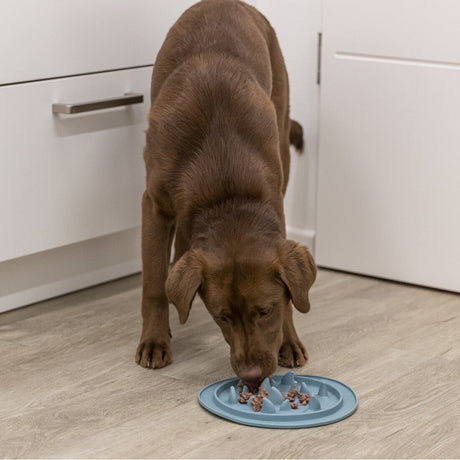 Slow Feed Futtermatte für Hunde und Katzen