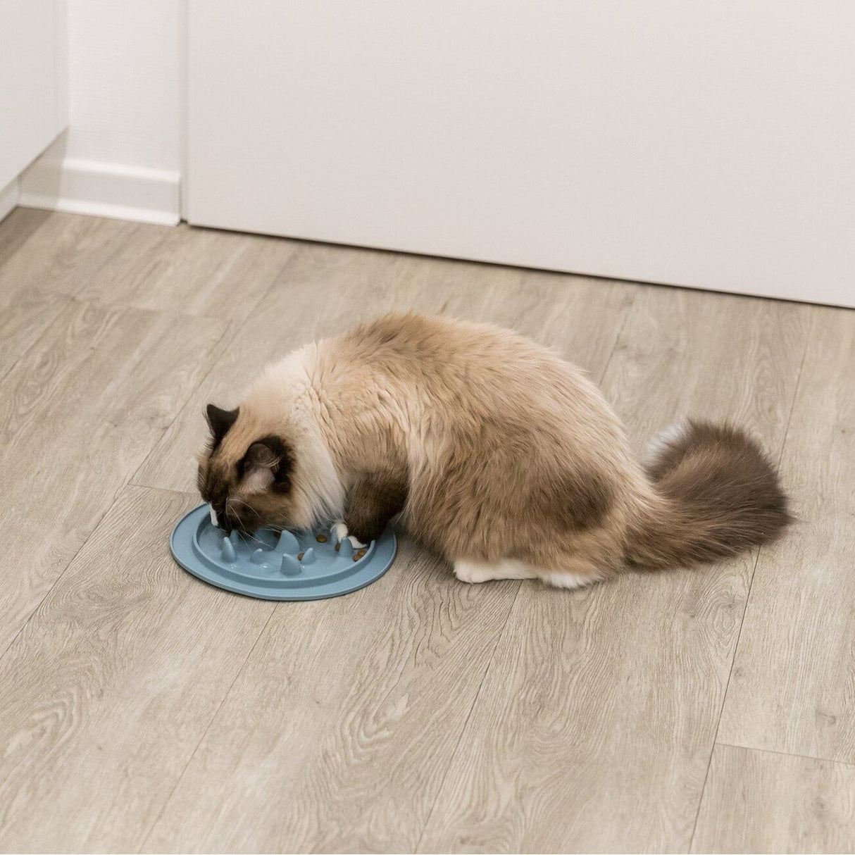 Slow Feed Futtermatte für Hunde und Katzen