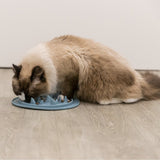 Slow Feed Futtermatte für Hunde und Katzen