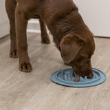 Slow Feed Futtermatte für Hunde und Katzen