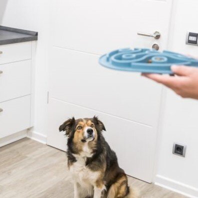 Slow Feeding Futtermatte für Hunde