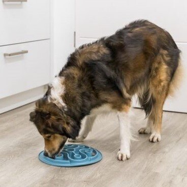 Slow Feeding Futtermatte für Hunde