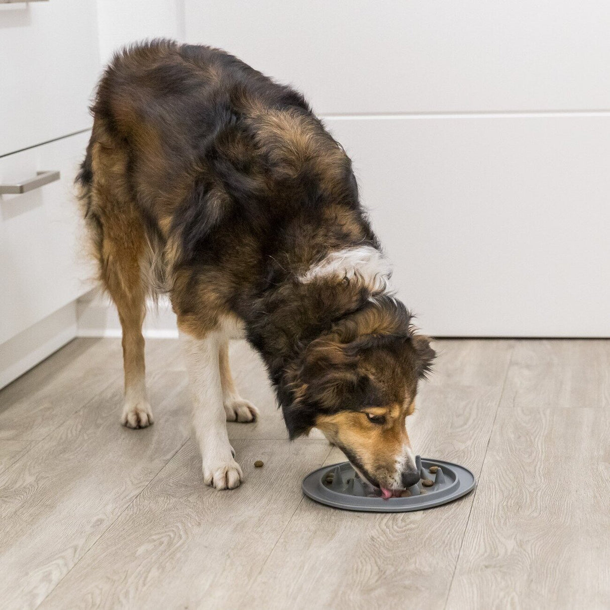 Slow Feeding Kunststoffnapf für Hunde