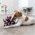 Dog Activity Schnüffelball aus Stoff für Hunde