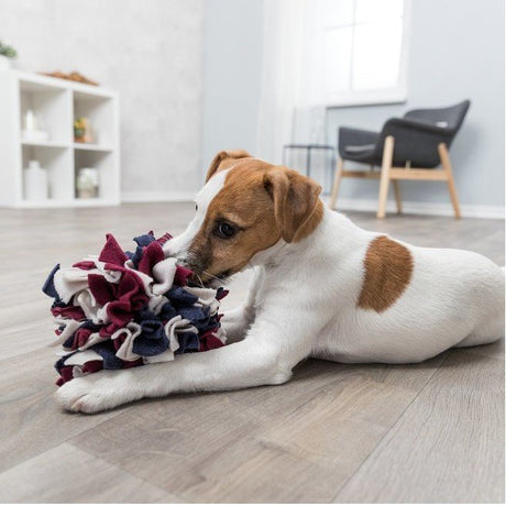 Dog Activity Schnüffelball aus Stoff für Hunde