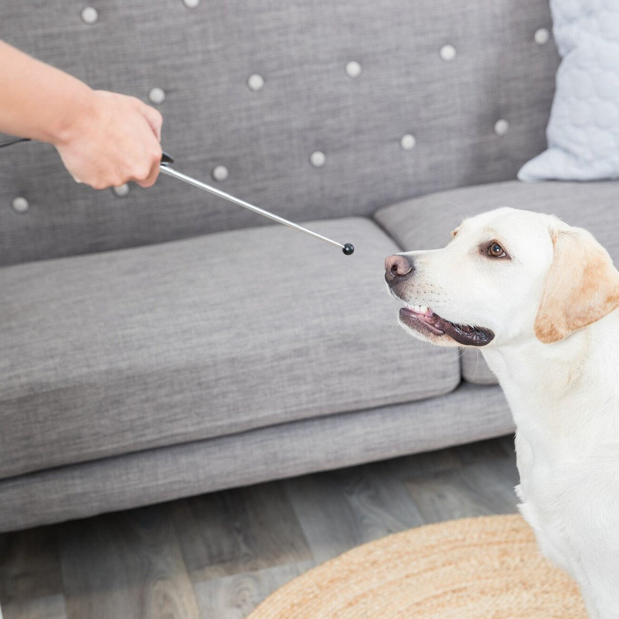 Target Stick mit Clicker