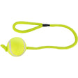 Tennisball am Seil für Hunde – ø 6,5 cm / 50 cm