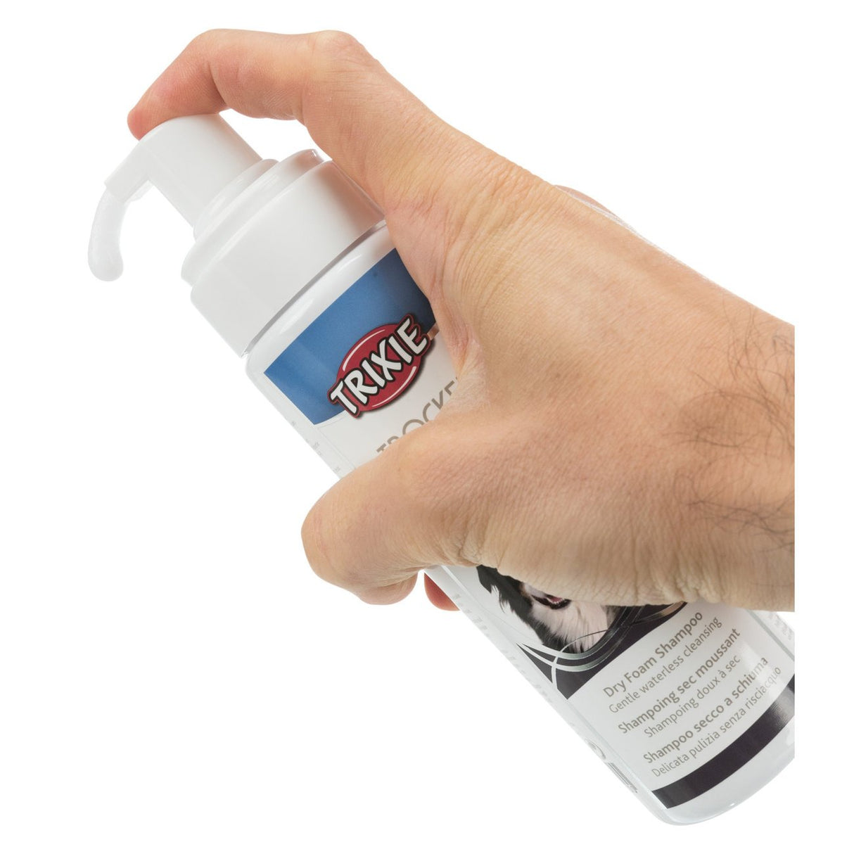 Trocken Schaum Shampoo