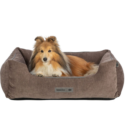 Vital Bett Lennox eckig, orthopädisches Hundebett