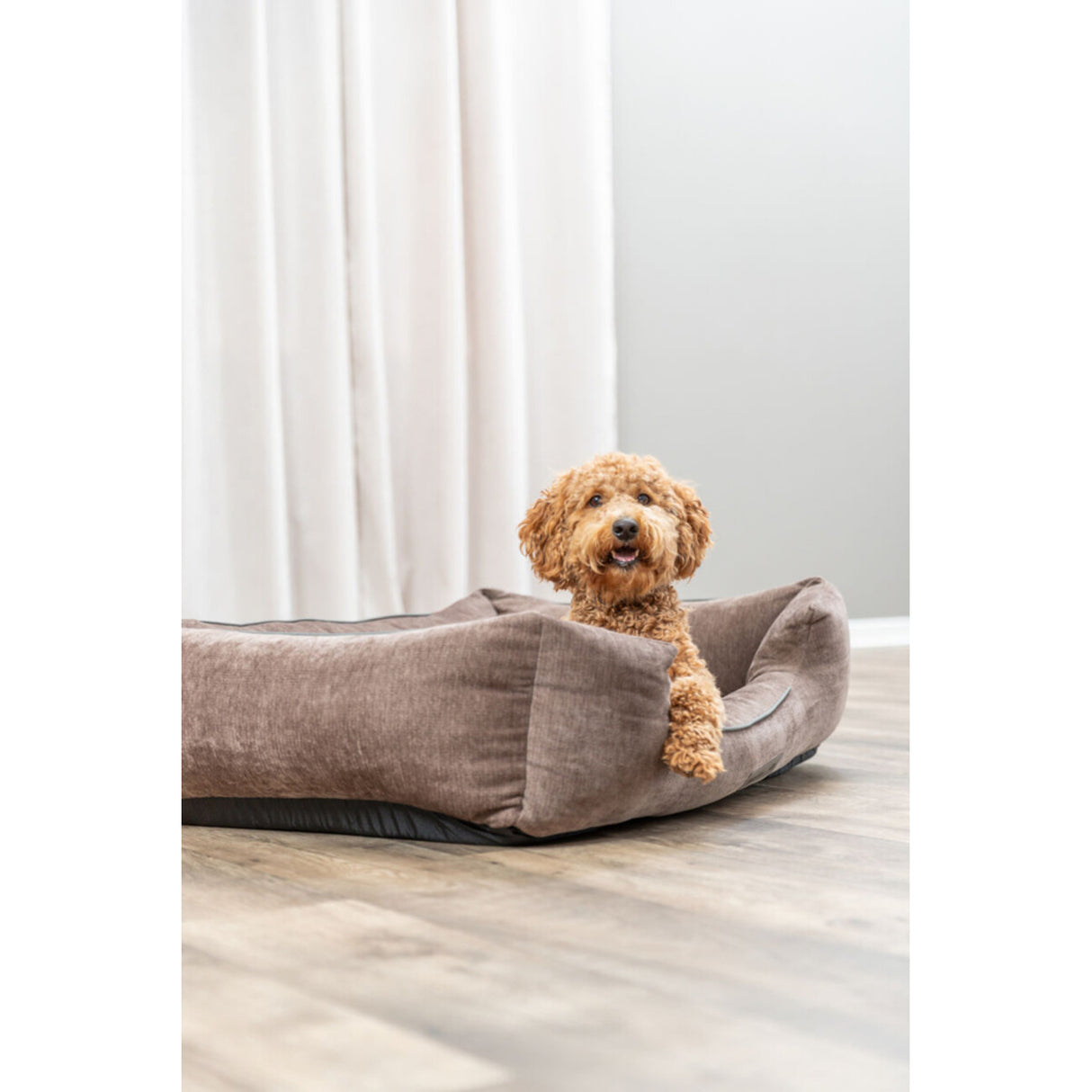 Vital Bett Lennox eckig, orthopädisches Hundebett
