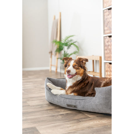 Vital Bett Lennox eckig, orthopädisches Hundebett