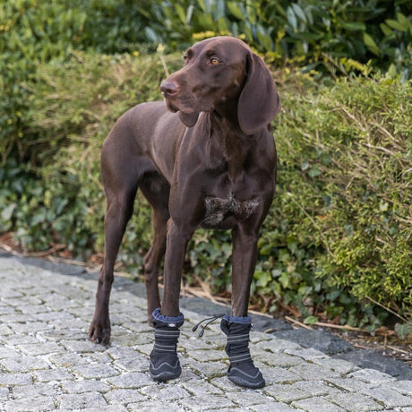 Pfotenschutz Walker Active Long für Hunde mit Profilsohle