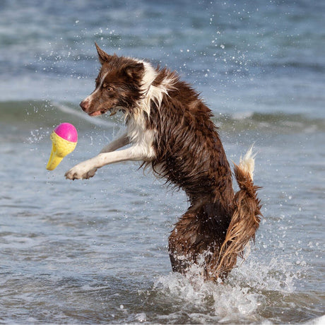 Aqua Toy Haiflosse Hundespielzeug