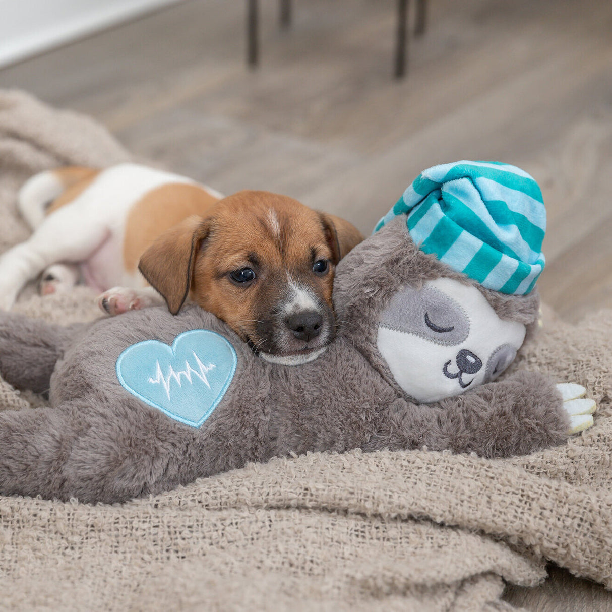 Faultier Hundespielzeug unterstützt beim Einschlafen