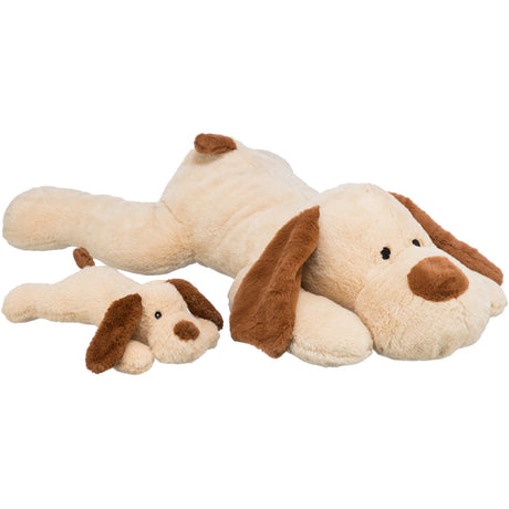 Ankuschelhund Benny