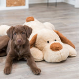 Ankuschelhund Benny