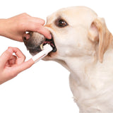 Zahnpflege-Set für Hunde – 4-teilig