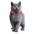 Visio Light Leuchthalsband für Katzen und kleine Hunde