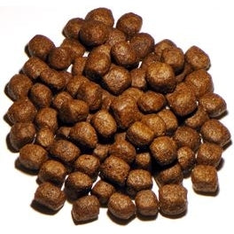 Vollmers Holistic Hundefutter