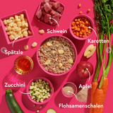 FRED Schwein mit Spätzle – Alleinfutter für ausgewachsene Hunde