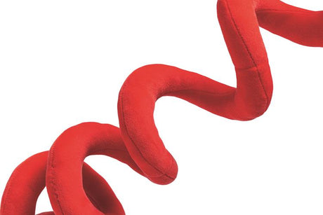 Beeztees Xmas Plüsch-Spirale – Weihnachtsspielzeug für Hunde, 35 cm