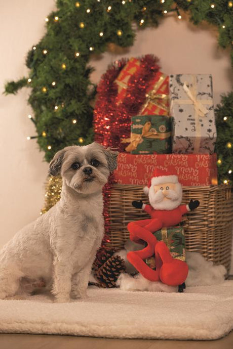Beeztees Xmas Plüsch-Spirale – Weihnachtsspielzeug für Hunde, 35 cm